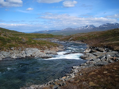 Abisko Juni 2009 dag 4 - 41.jpg